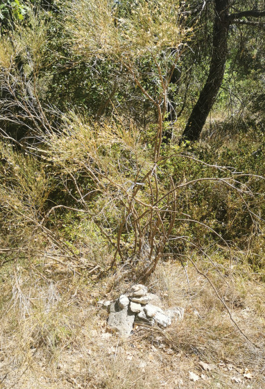 Junction waypoint 10