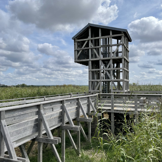 L&rsquo;observatoire