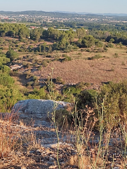 L’Oppidum de la Roque