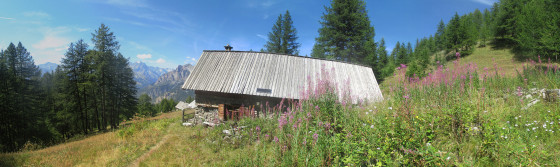 L\'Oriol Sainte - Marguerite