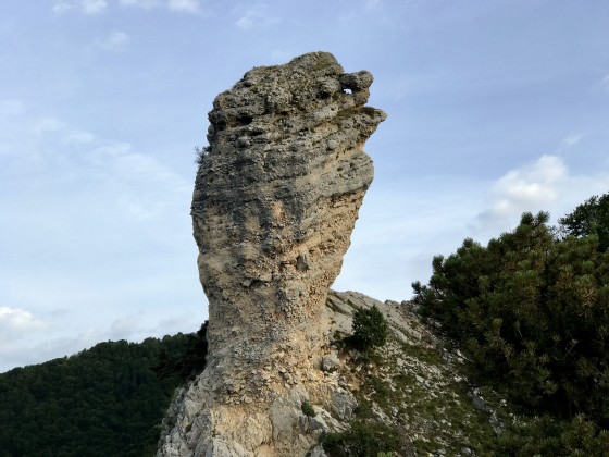 L\'Ouillon