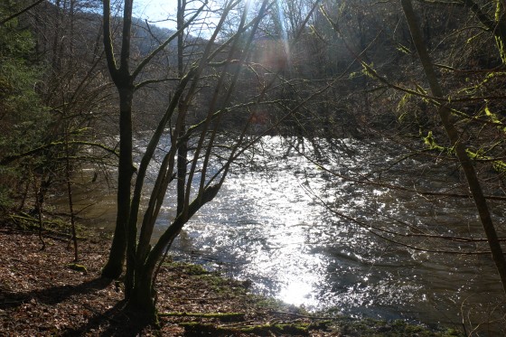 L\'Ourthe