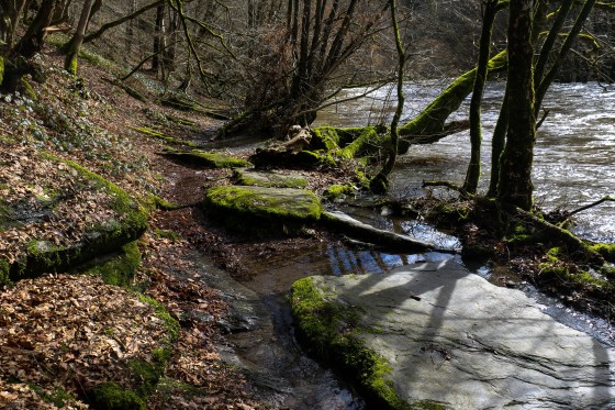 L\'Ourthe