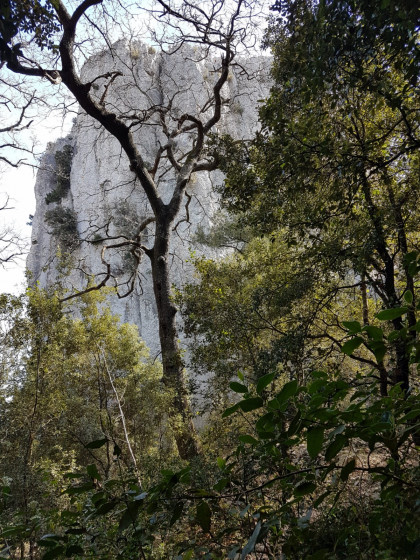 Les gorges de la Petite Sainte Baume