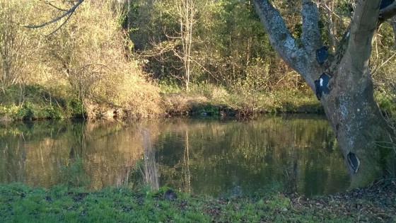L\'Yerres et ses habitants