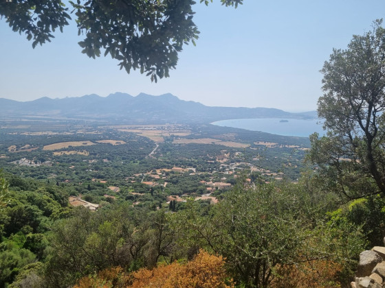La baie de Calvi
