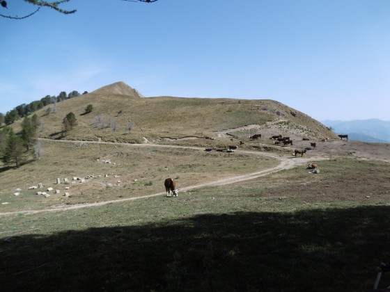 La Baisse de Ventabren
