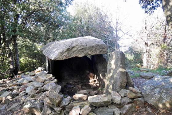 La Balma del Moro