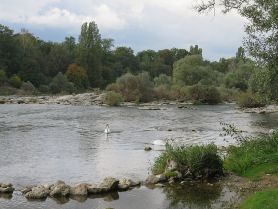 La Barre d\'Istein