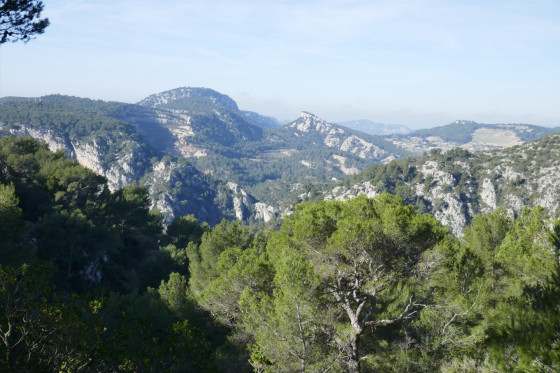 La barre de la Jaume