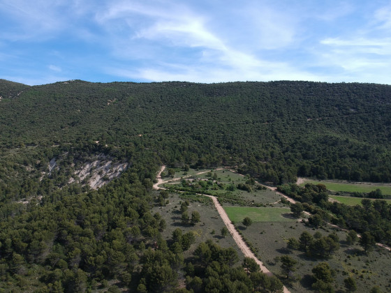 La bastide du bois