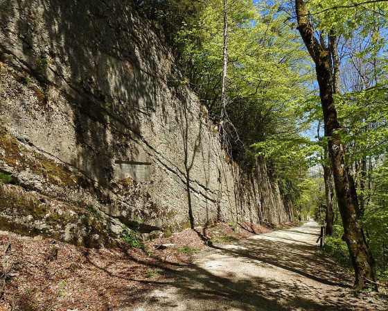 la Belchen-Südstrasse