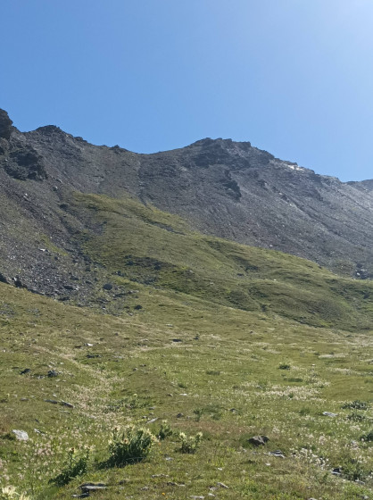 La Belle Plinier