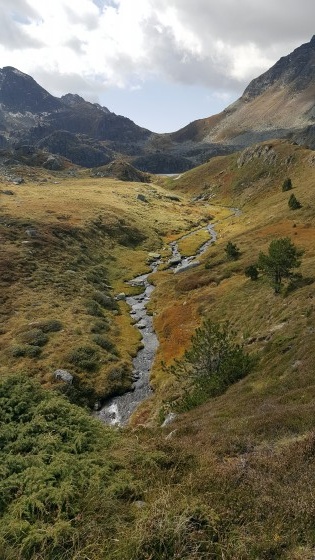 La belle vue