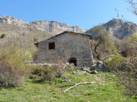 La bergerie de basse Crigne