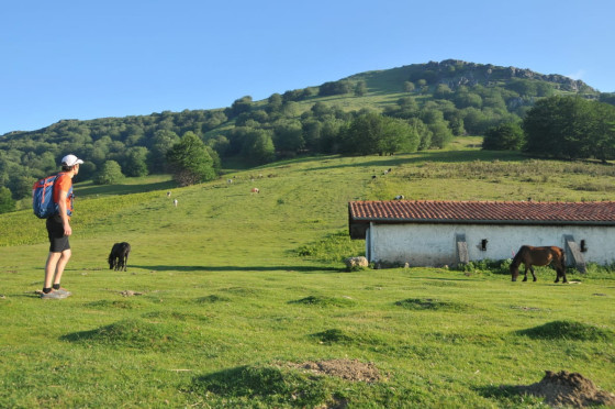 La bergerie de Buztingorri