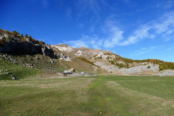 La bergerie