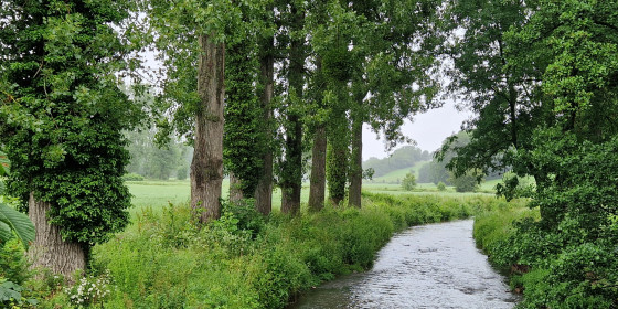 La Berwinne
