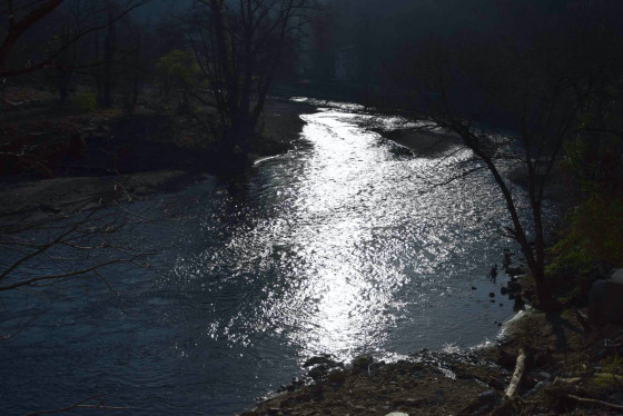 La Bidassoa dans le soleil du matin