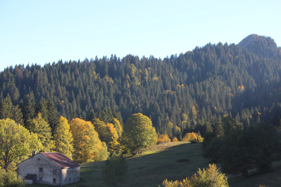 La Borne au Lion