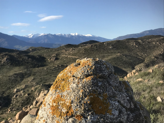 La borne frontière