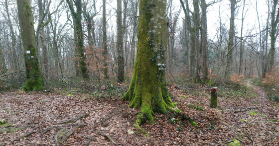 La borne