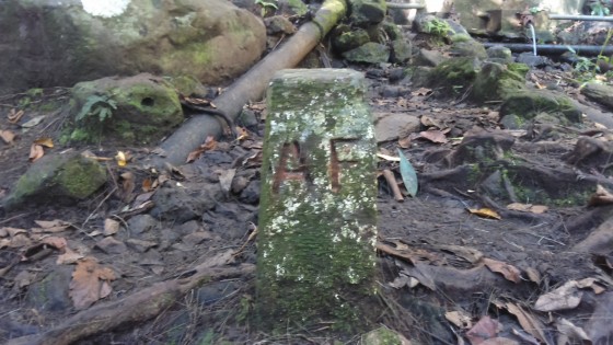 La borne