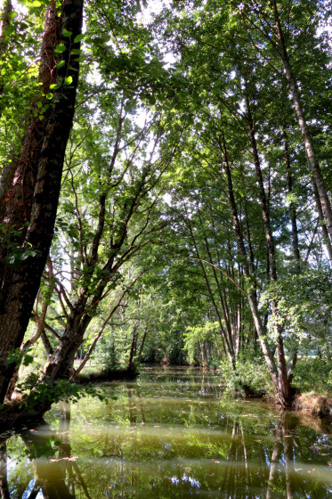 La Bouzanne à Velles
