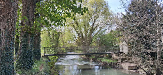 La Brenne au départ de la voie Verte