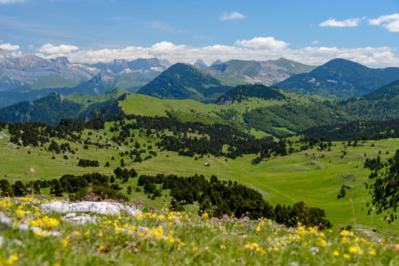 La cabane de l\'Essaure