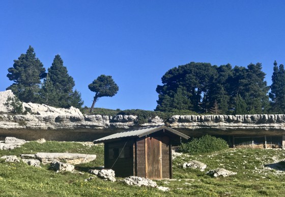 La cabane du berger de l'Alpe