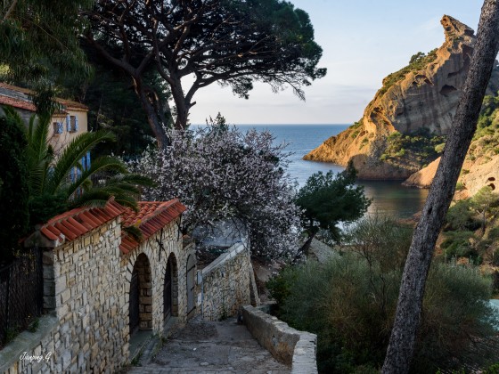 La Calanque de Figuerolles