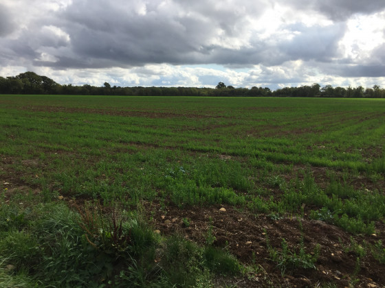 La campagne autour de Boulon