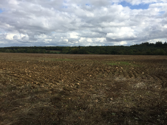 La campagne autour de Boulon
