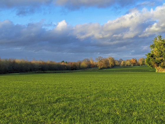 La campagne bettonnaise au soleil couchant en hiver