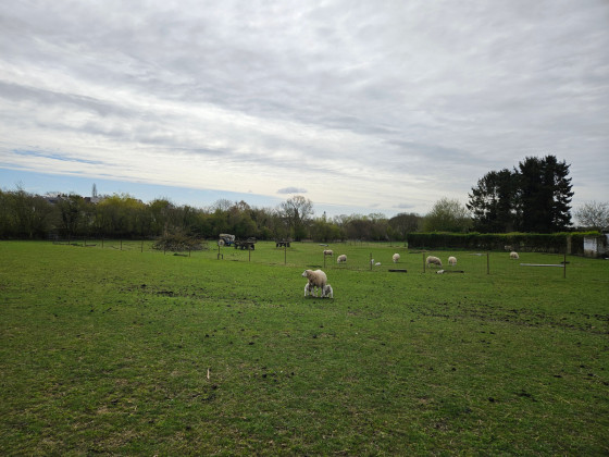 La campagne de Mellery