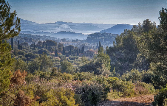 La campagne du Castellet