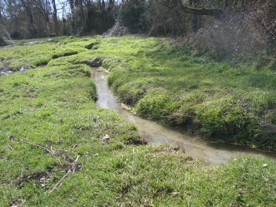 La campagne en ville...