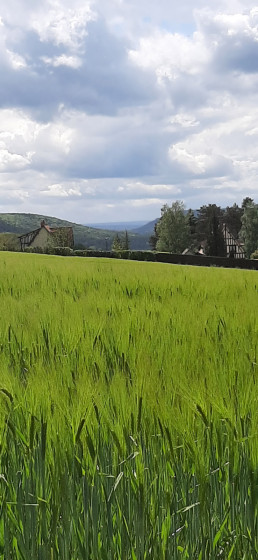 La campagne vallonnée