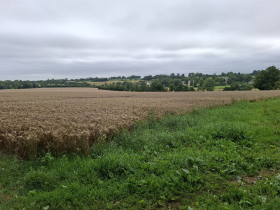 la campagne