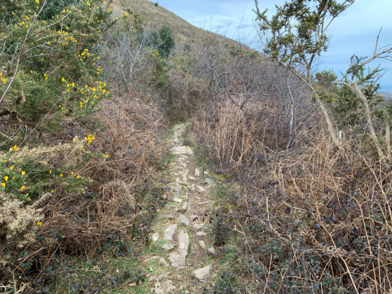 La canalisation enterr&eacute;e jusqu'au filtre