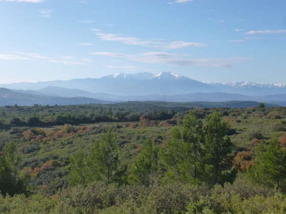 La Canigou