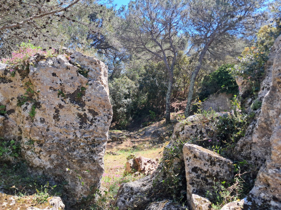 La carrière