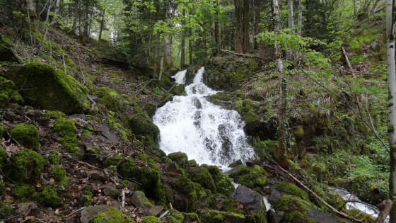 La cascade de Kaltenbach