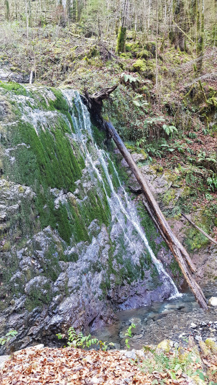 La Cascade du Picharrot