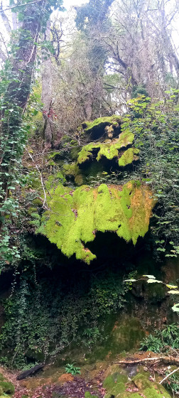 la cascade pétrifiée
