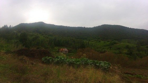 La Chaîne du Bois de Nèfles