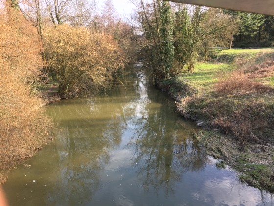 La Chalaronne...