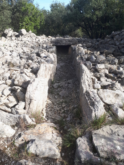 la chambre ovalaire