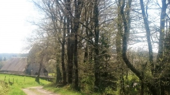 La chapelle de Mazuras